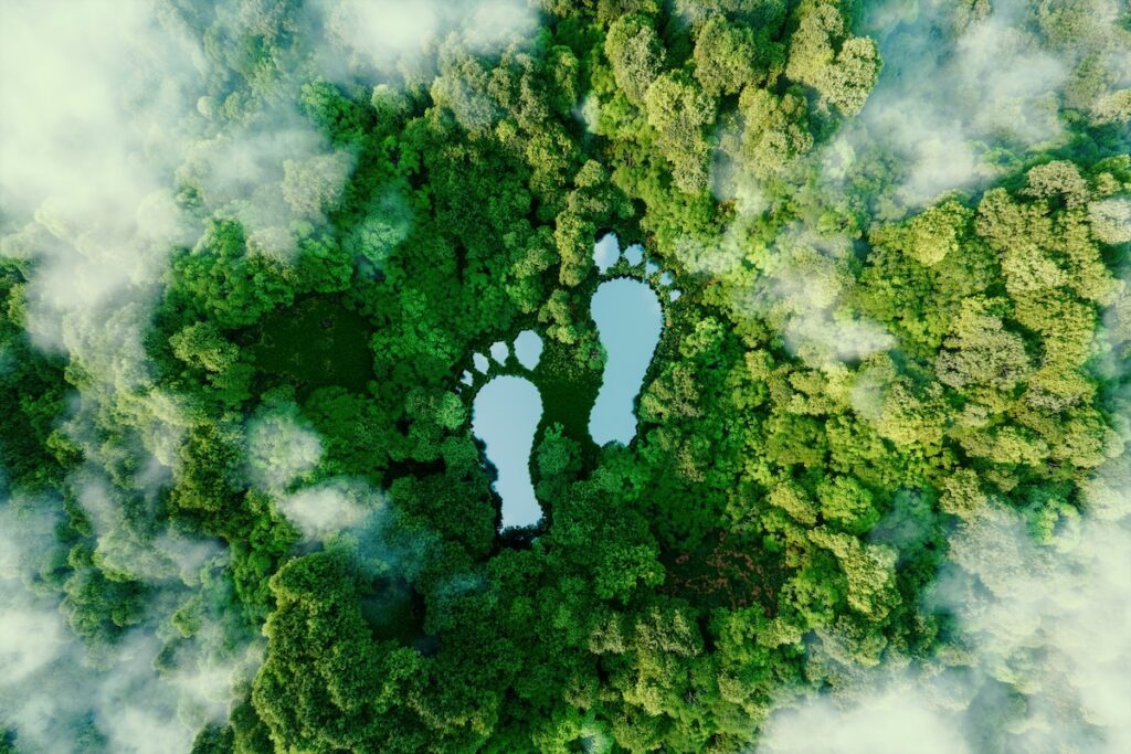 Aerial view of a forest with two lakes shaped like human footprints, symbolizing human impact on nature and conservation efforts.